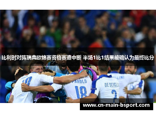 比利时对阵瑞典欧锦赛资格赛遭中断 半场1比1结果被确认为最终比分