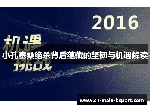 小孔塞桑绝杀背后蕴藏的坚韧与机遇解读