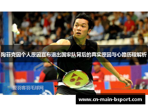 陶菲克因个人原因宣布退出国家队背后的真实原因与心路历程解析