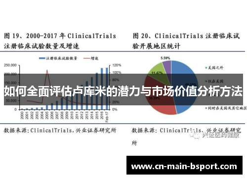 如何全面评估卢库米的潜力与市场价值分析方法
