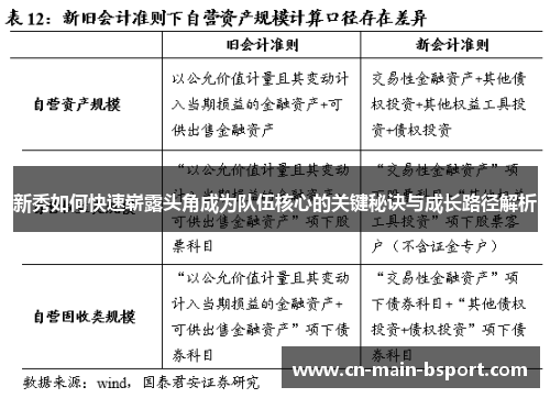 新秀如何快速崭露头角成为队伍核心的关键秘诀与成长路径解析