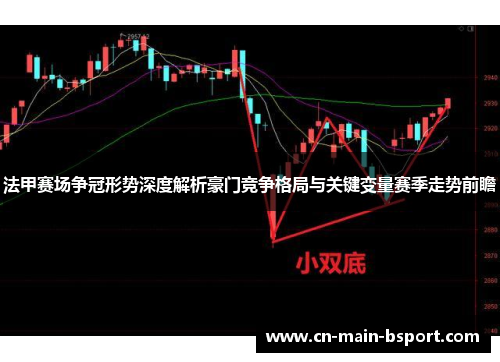 法甲赛场争冠形势深度解析豪门竞争格局与关键变量赛季走势前瞻